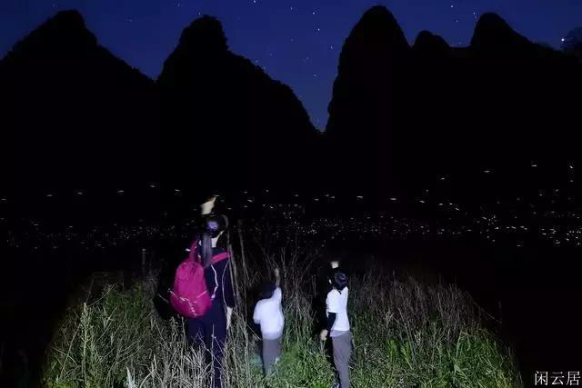 虫虫助手下载